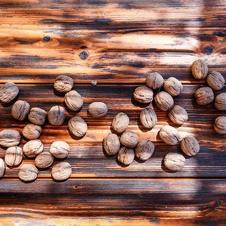 农家乐 Masseria Pezza