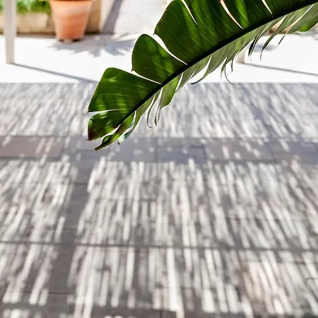 Masseria Pezza 萨利切萨伦蒂诺