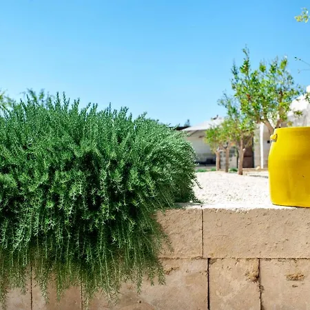 Masseria Pezza مزرعة للإقامة