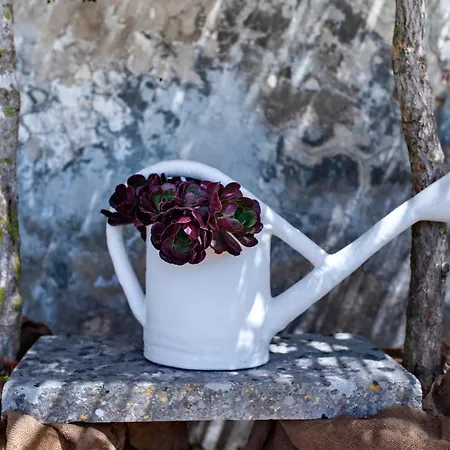 Bauernhof Masseria Pezza Salice Salentino